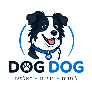 dogDog